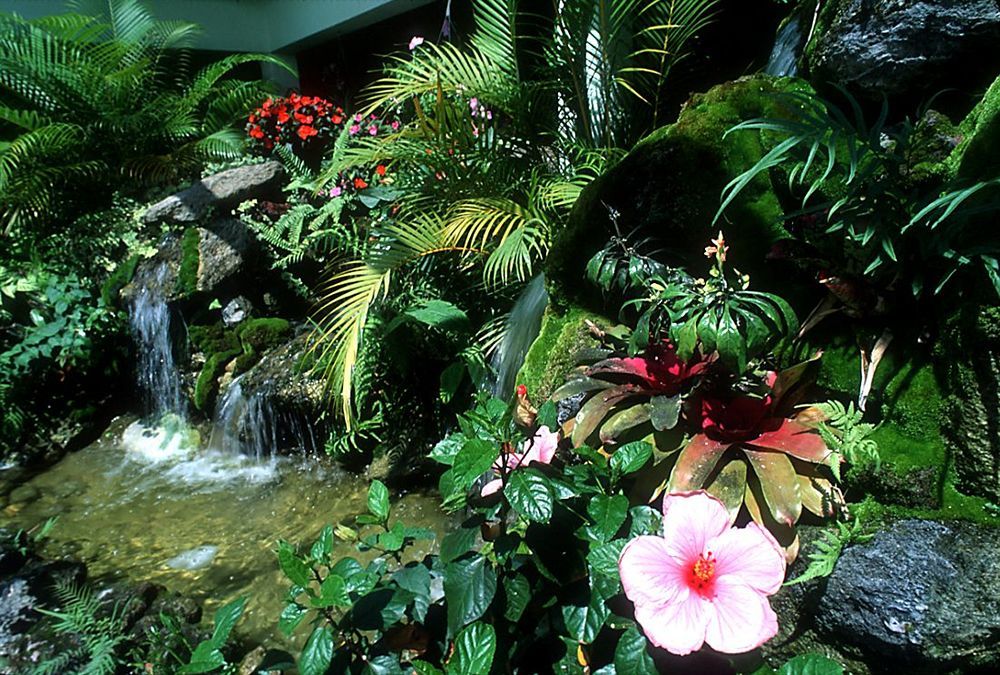 Ivey House Everglades Adventures Hotel Bagian luar foto